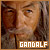  Gandalf: 